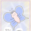 셀라토이즈