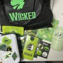 오즈안경 | 위키드 뮤지컬 부산 내한공연 보러간 후기 오즈패키지 포함 자막 드림씨어터 1층 5열 24번 시야