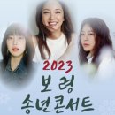 보령 송년콘서트 뉴스티앤티