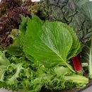 마장동주먹고기 이미지