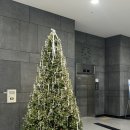 [LIFE 겨울방학 특강] 우리 소리가 좋다 | 국립발레단 아카데미 겨울특강 후기