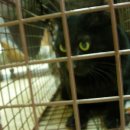 한스동물병원 이미지