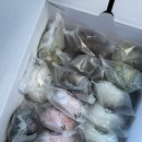 해오름모시떡송편