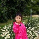 다인농장 이미지