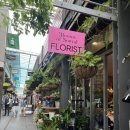 (유)붕붕렌트카 | 호주 여행 | 시드니에서 캔버라 • Sixt 렌트카로 당일치기 여행