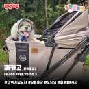 강아지유모차 피카고 FikaGo 프리투고2 | 오토폴딩 개모차 솔직후기