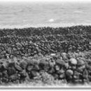 돌담펜션민박 이미지