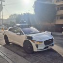 JUST DOG | [UBC 교환] 미국 서부 1박 4일 여행기 LA + 그랜드캐년 + 라스베가스