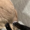 네일바이멜
