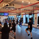 키즈영어복싱pls 이미지