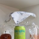 플로리다 농장 | 트로피컬 주스와 시트러스 시가 시티 브루잉 구아야베라 시트라 페일에일 가격 맛 후기