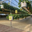 해담농장 이미지