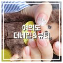 네일디테 | 여의도 직장인네일 추천, 더네일&amp;뷰티 퇴근 후 가기 좋은 곳