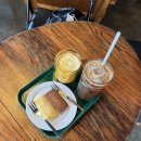 유림-1036 | 애옹쓰는 조케따 •••