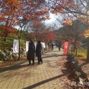 찾아가는 아라가야 문해교실 이미지