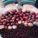 종보농장 이미지