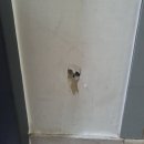 서초대로40길 72 (1) 이미지