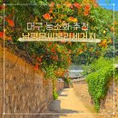 남평버스정류장 | 대구 능소화 명소 남평문씨본리세거지 한옥과 어우러진 풍경