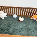 이정훈 강아지 하남본점 이미지