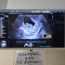 최세미산부인과