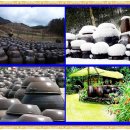 사계절 장독대 이미지