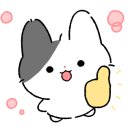 강아지 대공원 이미지