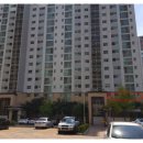 동백미소약국 이미지