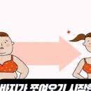 호리호리다이어트