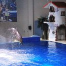 제주도 한화 아쿠아플라넷 이미지