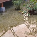 세정 행정사 사무소 이미지