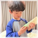 새싹의 아침 | 아기 피부 고민에 좋은 밀리맘 새싹 아토 크림 사용 후기