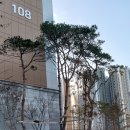 삼일카서비스 이미지