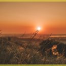 운동공간 이미지