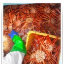 더랩아이 이미지