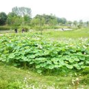 용담마을길 이미지