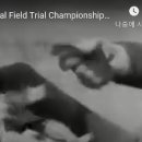 대문 - National Field Trial Championship 1936 USA (뒷빵 돈 따먹기 ) 이미지