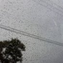 럽잇(Love it) 이미지