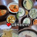 일품백송칼국수 | 왕십리 숨은맛집추천 칼국수 설렁탕 혼밥가능 일품백송칼국수