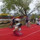 둥지별곡 이미지