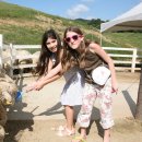 의야지바람마을 이미지