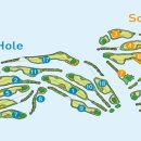 솔라고CC 라고 이미지