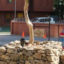 도치피자 강변 이미지