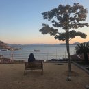 호두121 | [내돈내산] 여수 에어비앤비 'PAGE(페이지)' 후기: 성인 5명+강아지와 함께한 1박 2일 별장 힐링