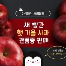 펭귄유통 이미지