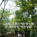 국립운문산자연휴양림야영장 이미지