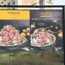 장수오리 이미지