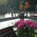 오정식물원 이미지