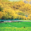 의성마늘테마파크 이미지