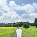 지수목장 | 📍제주 감성 한가득! 인생샷+무료 목장 체험까지 가능한 &#39;아침미소목장&#39; 후기🐄✨