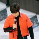 라이브레드 이미지